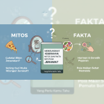 Mengungkap Kebenaran: Mitos dan Fakta Seputar Jerawat yang Wajib Anda Ketahui