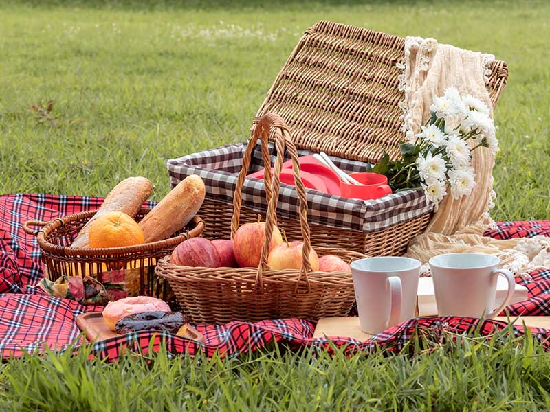 top-10-picnic-basket-essentials-for-the-perfect-outdoor-feast